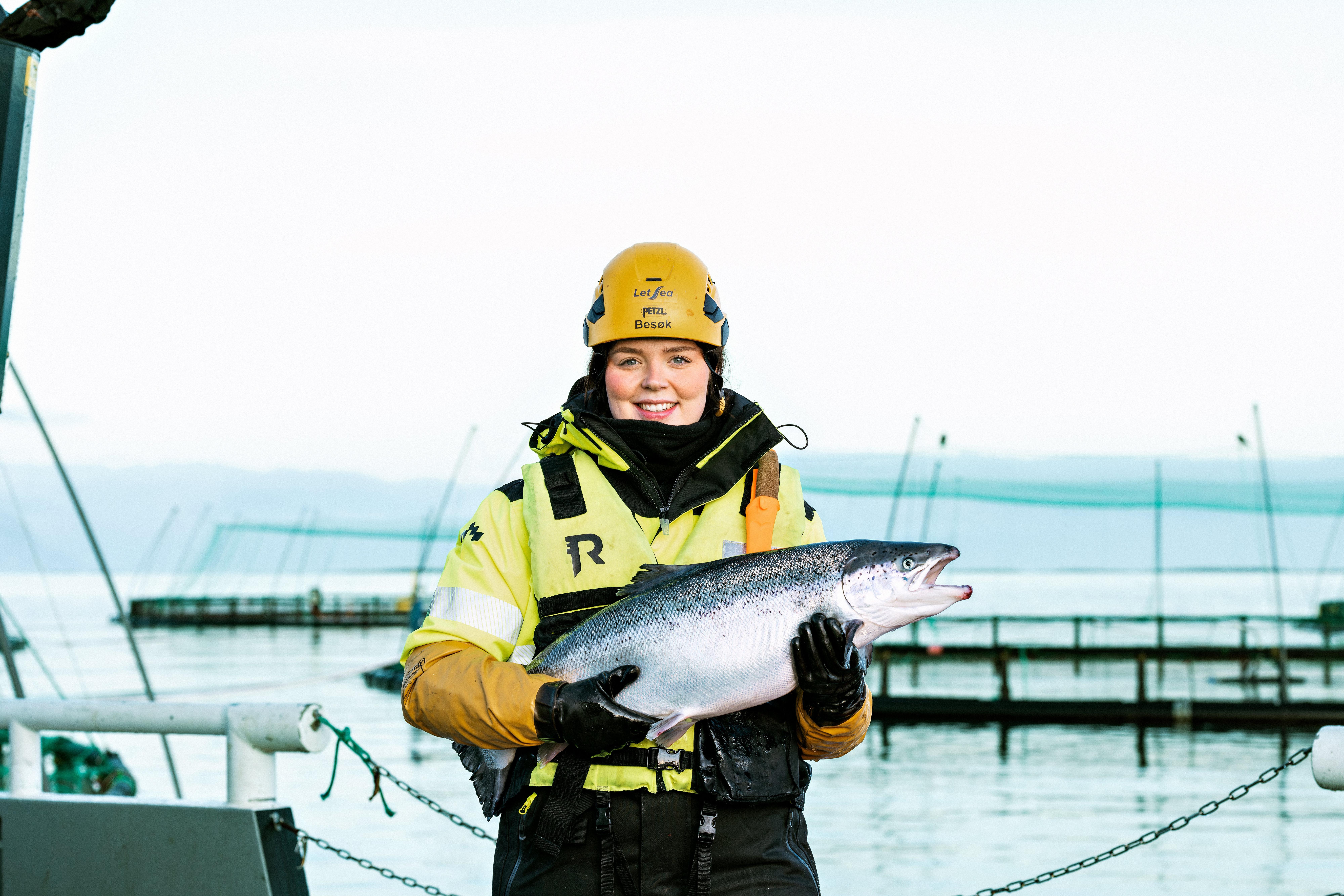 LyktFotoogFilm_5MK0244