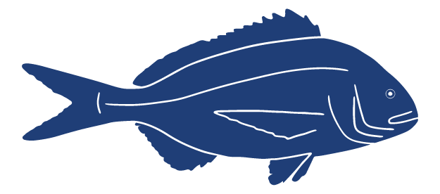 Detailed Fish Icons_FINAL Sea Bream.png