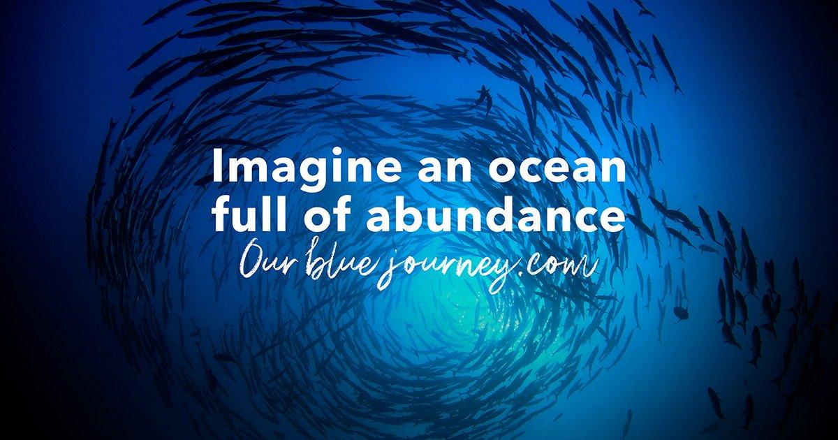 EN_IMC Ad_Abundance_1200x630