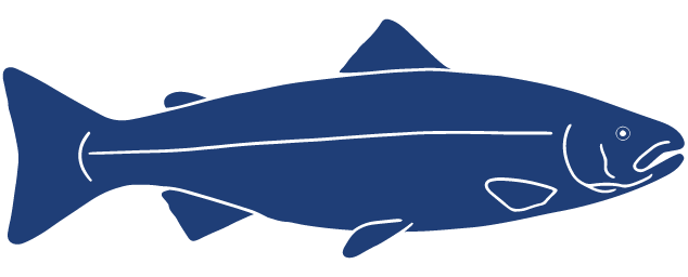 Detailed Fish Icons_FINAL_Salmon.png