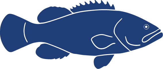 Detailed Fish Icons FINAL Grouper
