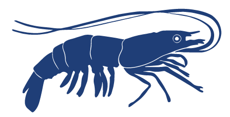 Detailed Fish Icons_FINAL Shrimp.png