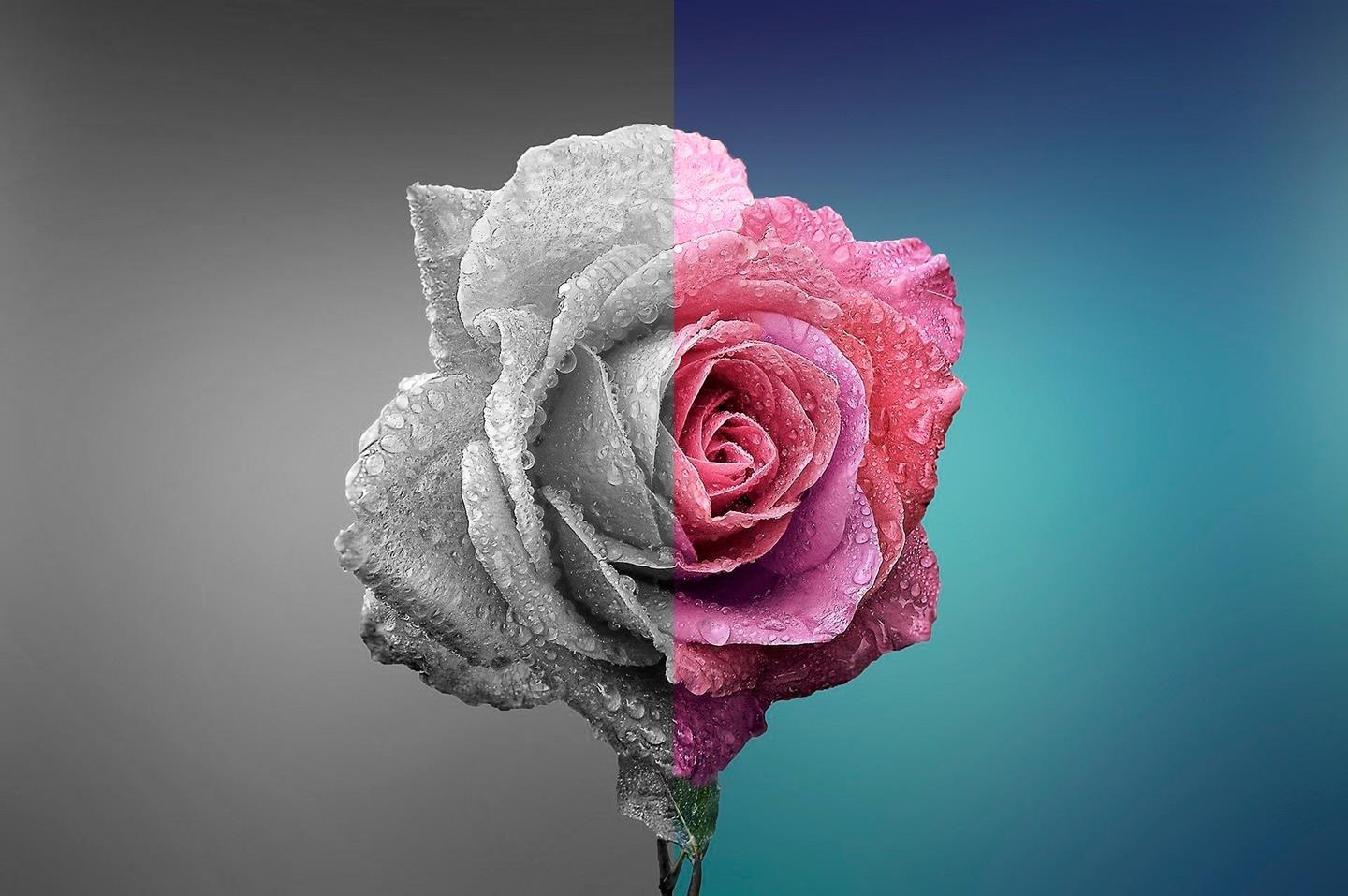 finesta   finest with colours