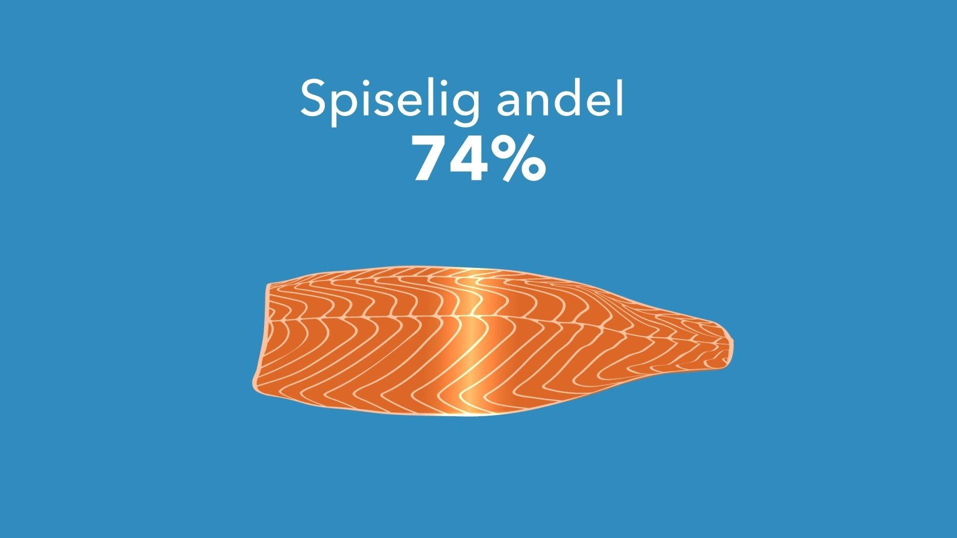 Spiselig andel bilde