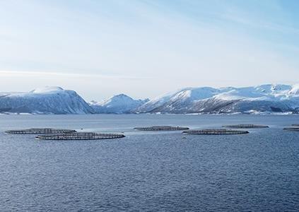 Norway open sea picture