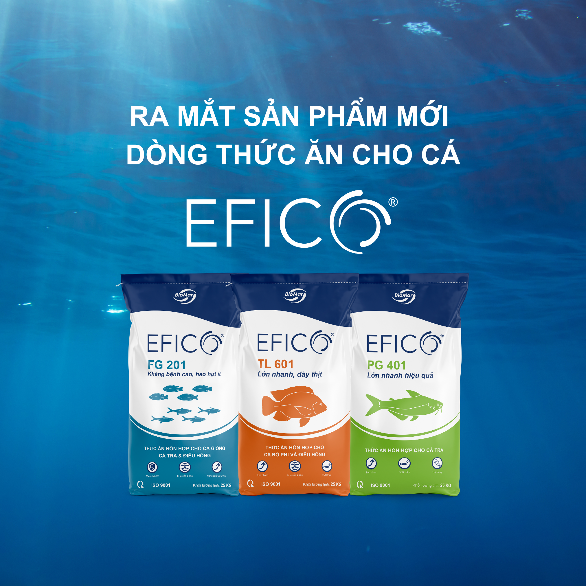 VN_EFICO-article_1080x1080.png (1)