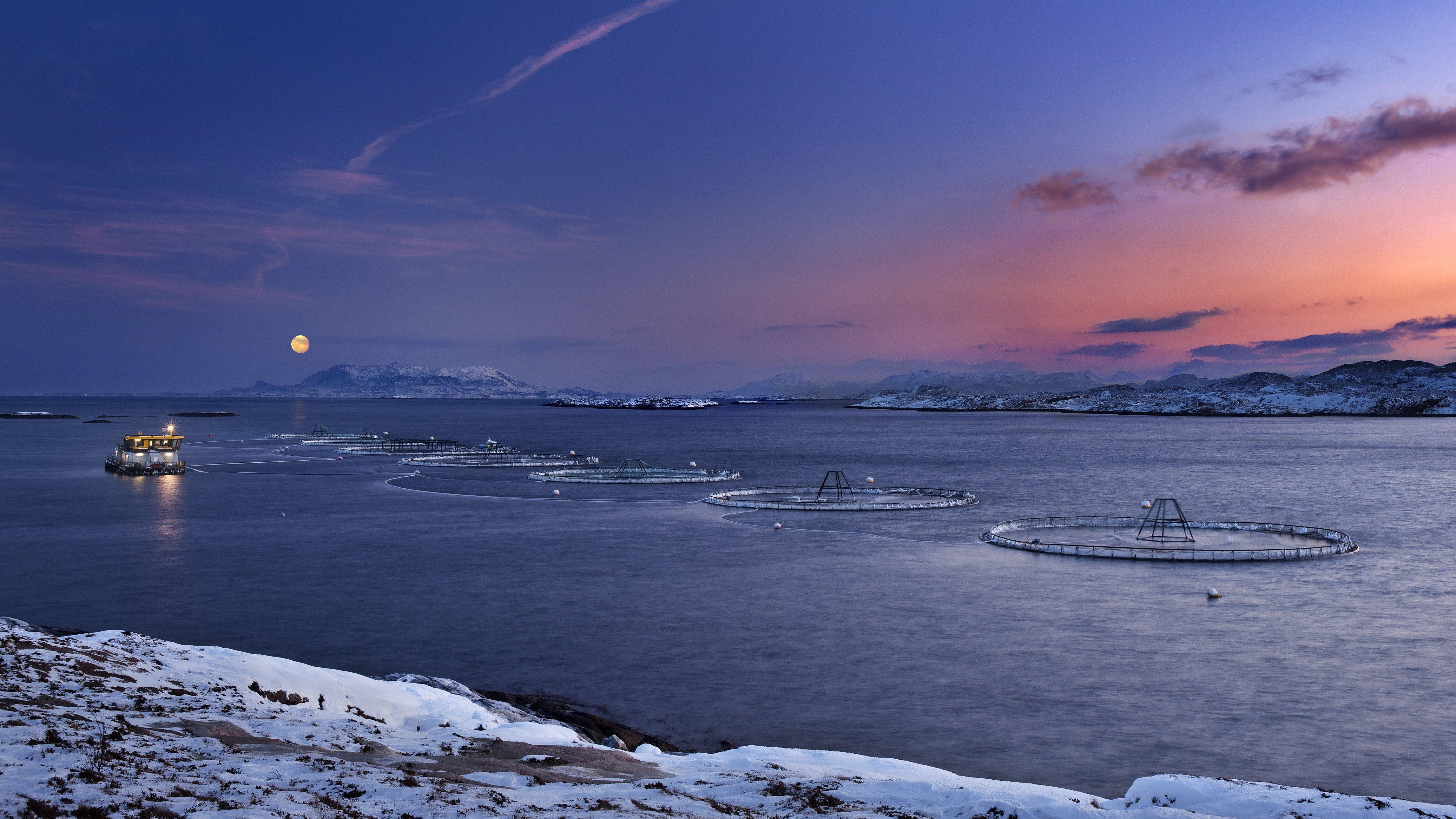 Humulen 04 10 - Copy