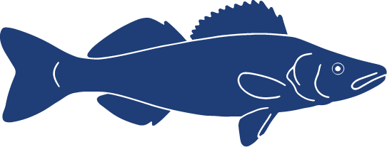 Detailed Fish Icons_FINAL Pike Perch.png