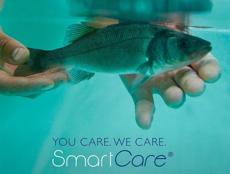 smartcare marine   functional feeds_sea bass