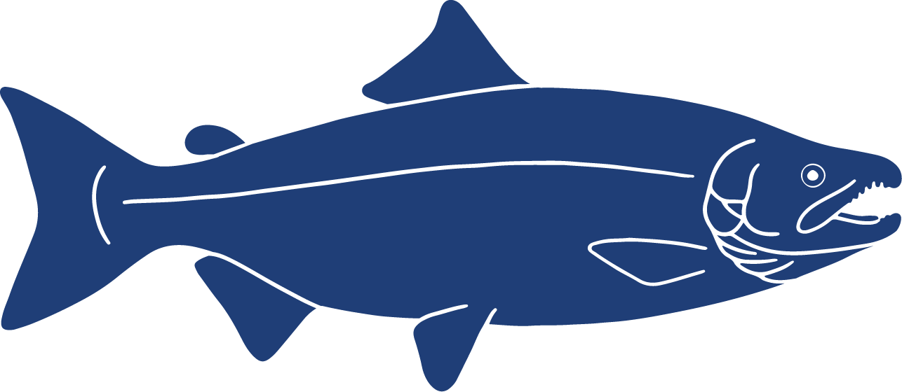 Fish Icons Chinook Salmon  Oncorhynchus tshawytscha